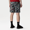 Шорты TNF Class V Pathfinder Pull-On Short (Мужской; M; BlackBeta FlashPrint)